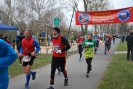 Gedaechtnislauf_2015_60