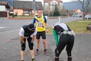 Gedaechtnislauf_2015_96