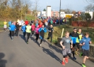 Silvesterlauf_2015_1