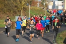 Silvesterlauf_2015_20