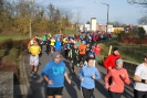 Silvesterlauf_2015_2